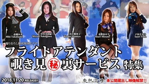 空姐偷窥特勤局特辑：中出、颜射、玩具高潮！